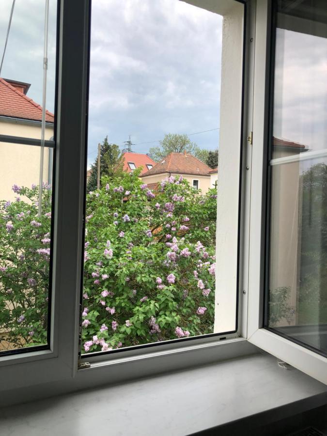 شقة Wohlfuehloase Dresden Nickern المظهر الخارجي الصورة